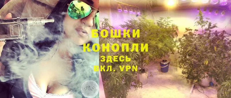 где найти   Пудож  Марихуана Ganja 